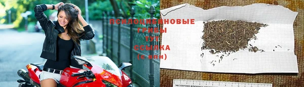 2c-b Бородино