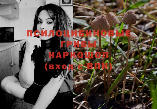 2c-b Бородино