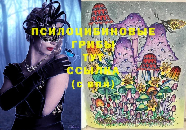 мдпв Бугульма