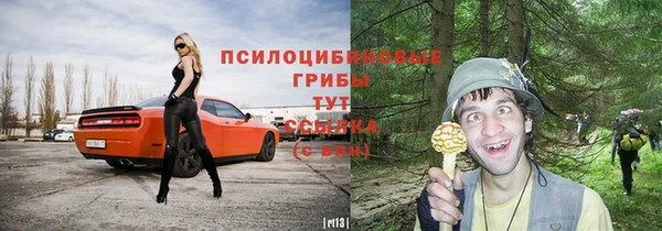 2c-b Бородино
