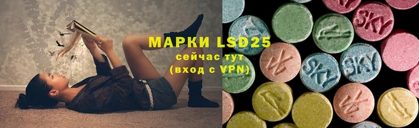 2c-b Бородино